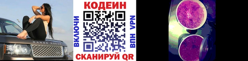 Кодеиновый сироп Lean Purple Drank  блэк спрут вход  Удомля  закладки 