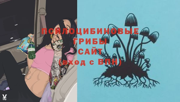 трава Приозерск