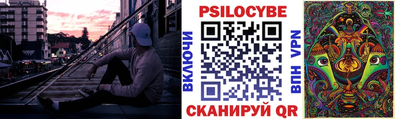 купить наркотики цена  Удомля  Псилоцибиновые грибы мицелий 